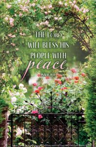 Inspirational – The Lord Will Bless His People – Ps 29:11 – Pkg 100 – Standard Bulletin