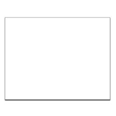 Blank Insert | General, Blank Insert 8 1/2 x 10 7/8"