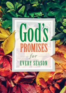 God’s Promises – Devotional Book – itty bitty Booklet