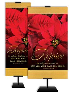 Christmas - Rejoice - Matthew 1:21 (CEB) - Banner