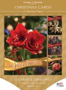 Christmas Cards – A Christmas Prayer – 12 Cards with NIV Scripture – Assorted Boxed Greeting Cards 