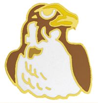 *Falcon/Warhawk Mascot Lapel Pin