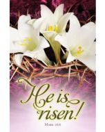 Easter - He is Risen Bulletin