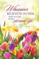 Easter – Whosoever believeth in him – John 3:15 (KJV) – Bulletin – Pkg 100 – Standard 