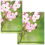 Easter - You Are Looking for Jesus, Matt. 28:5b-6a (CEB) - Pkg 100 - Bulletin - Multiple Sizes