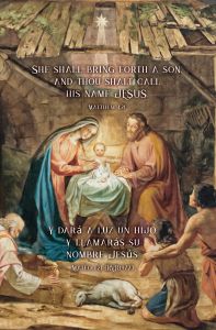 Christmas - Old Master - Nativity - She shall bring forth a son - Matthew 1:21 - Y dara a luz un hijo- Mateo 1:21 - Pkg 100 - Bilingual Bulletin - Spanish & English