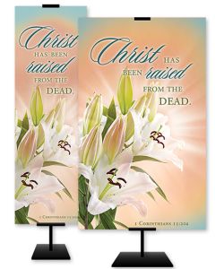 Easter - Christ has been raised from the dead, 1 Corinthians 15:20a (CEB) - Banner