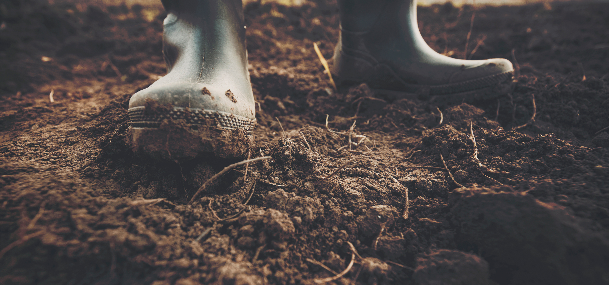 Life is Muddy; Hope is Secure