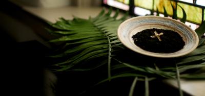 Lessons from the Ashes