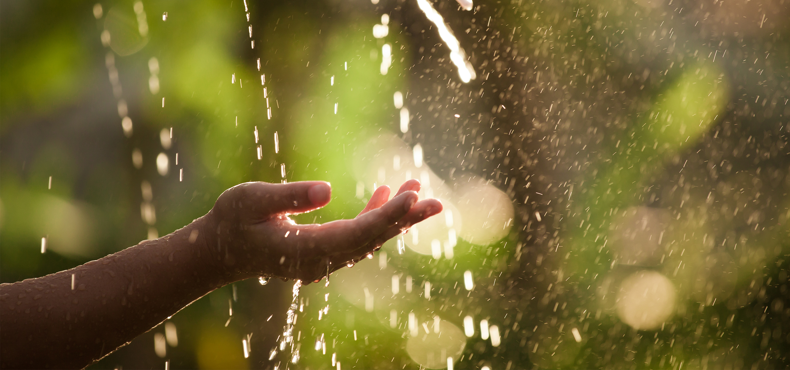 Managing The Storms of Life
