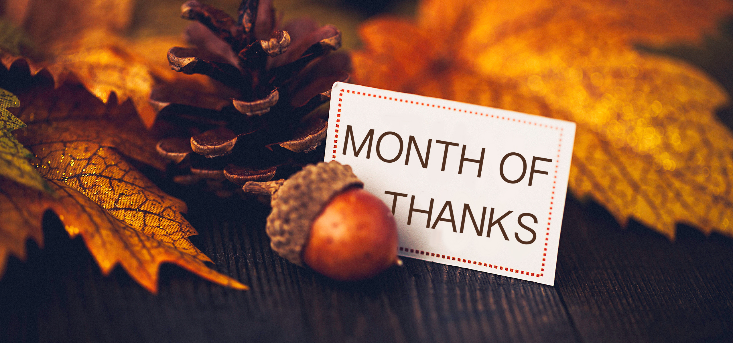 Celebrate Your Blessings with “A Month of Thanks”